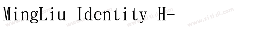 MingLiu Identity H字体转换